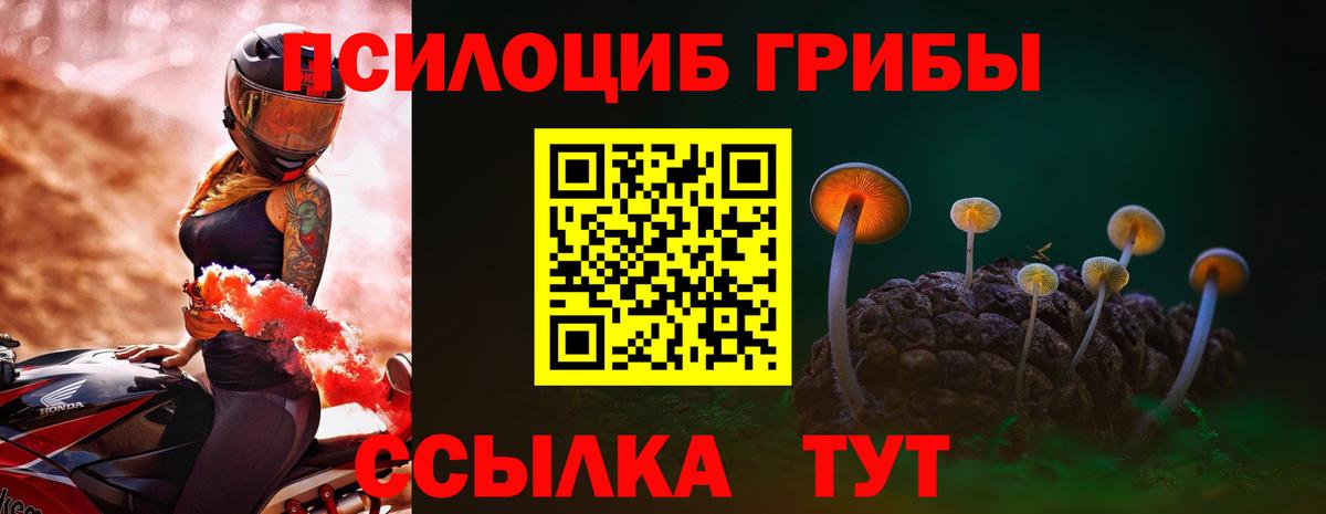 Псилоцибиновые грибы Psilocybine cubensis  Вход с VPN  Белореченск 